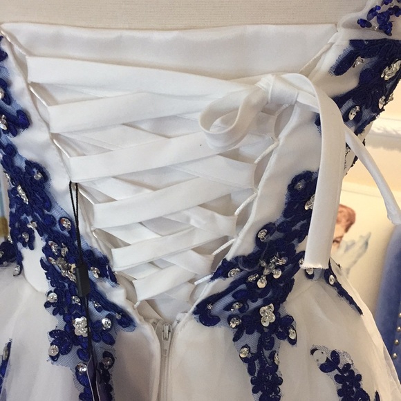 Internationally Designed Unique Item Blue Swan! - Picture 2 of 4